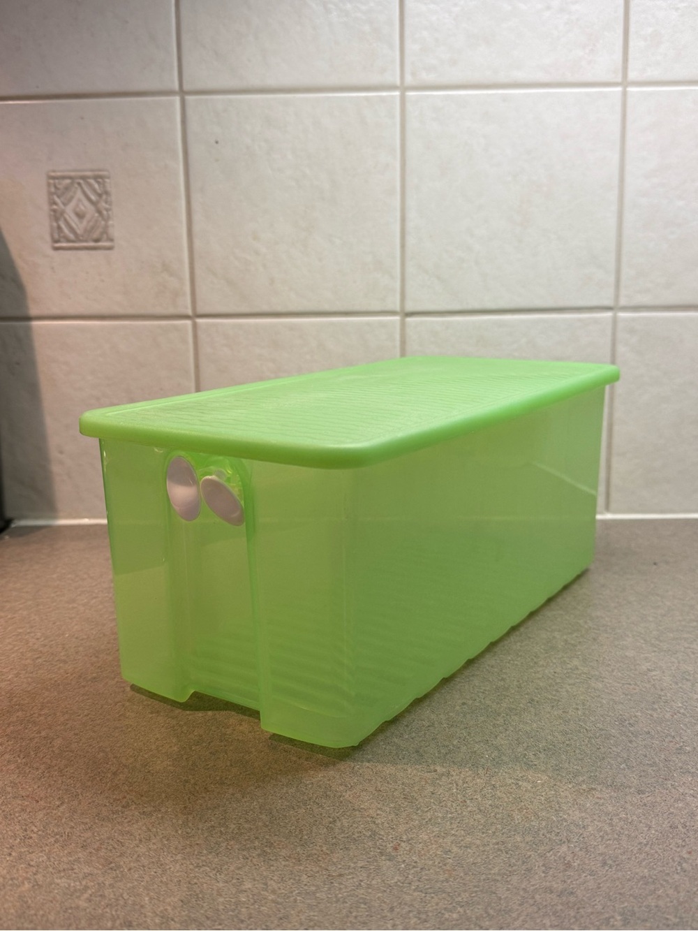 Tupperware Food Storage Box with Lid